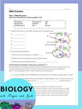dna replication activity guide answers